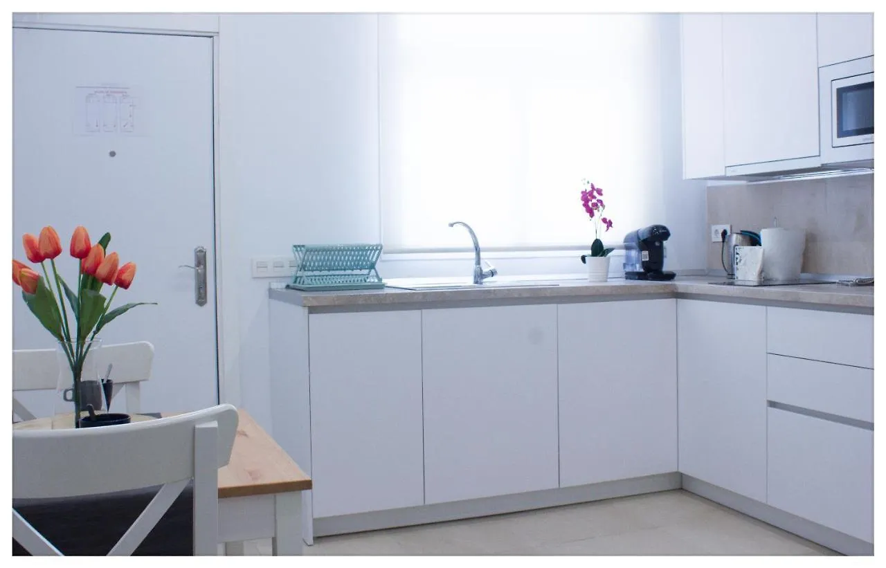 Ferienwohnung Estacion-Centro Vialia Málaga 0*,